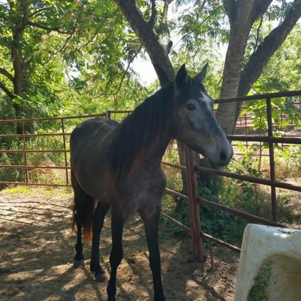 Meet your Posher, Lafonda